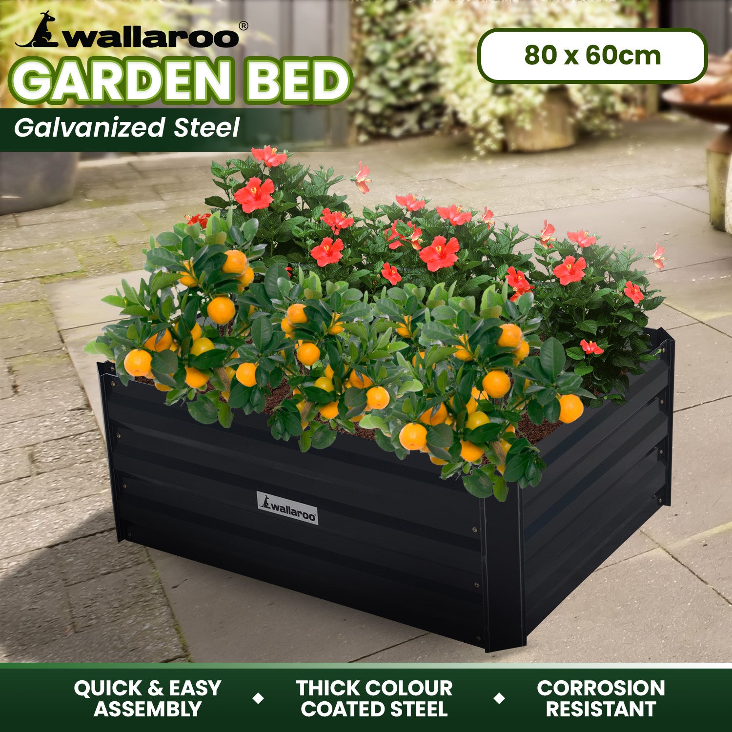 Wallaroo Garden Bed Galvanized Steel - Black 80 x 60 x 30cm