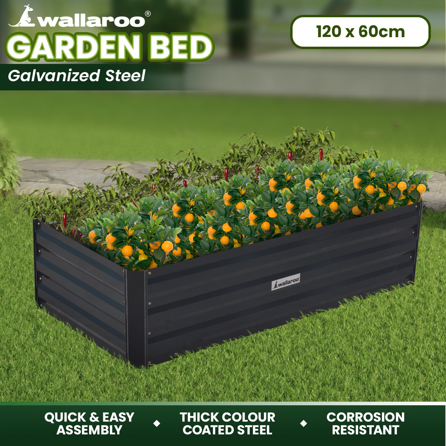 Wallaroo Garden Bed Galvanized Steel - Black 120 x 60 x 30cm